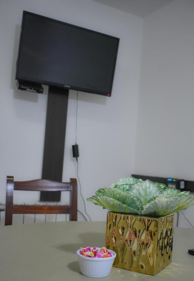 Apartment Carol 7